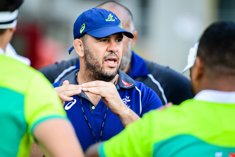 Michael Cheika is likely to finish up as Wallabies coach after the World Cup. Photo: RUGBY.com.au/Stuart Walmsley