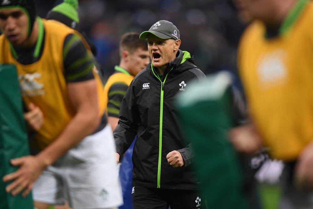 Joe Schmidt has called on some new faces. Photo: Getty images