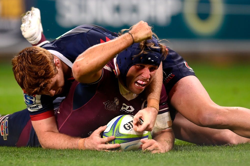 Dave Rennie will be licking his lips after watching the Super Rugby AU action over the weekend. Photo: Getty Images