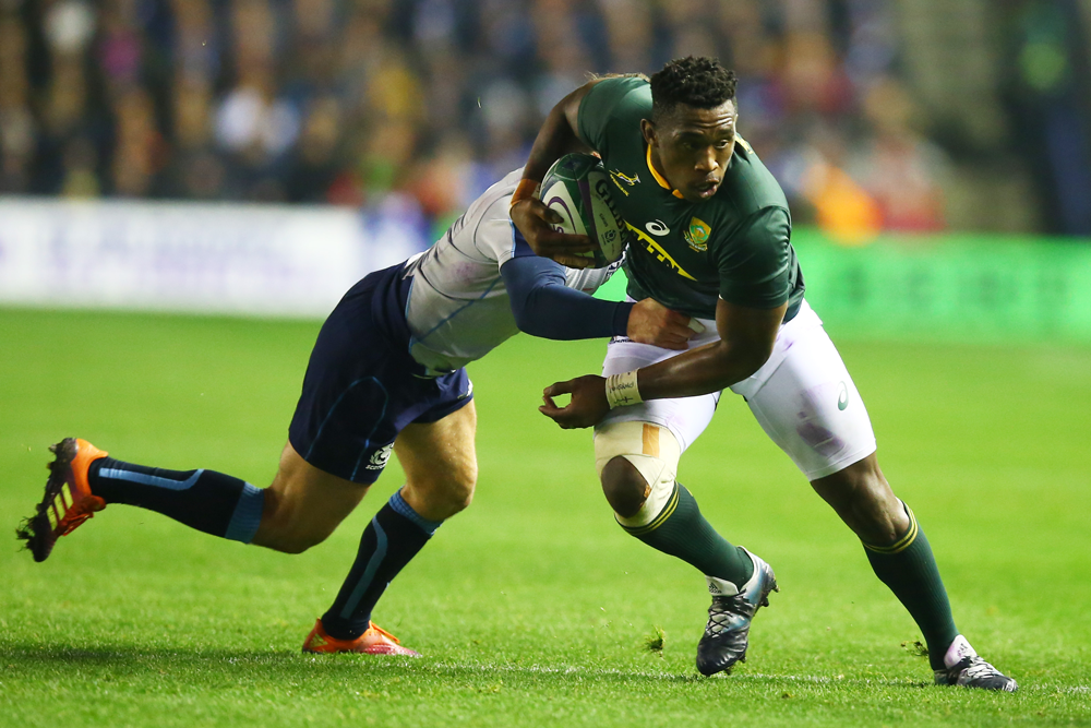 South Africa will host Scotland in two July Tests. Photo: Getty Images