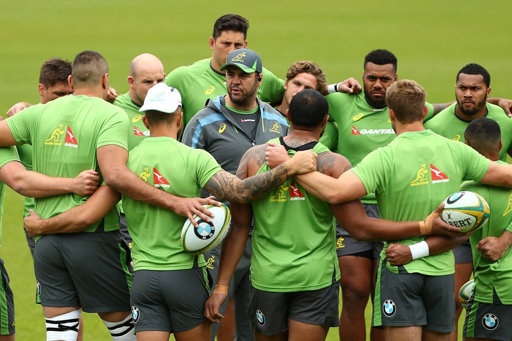 Michael Cheika and the Wallabies are ready for a tough week. Photo: Getty Images"
