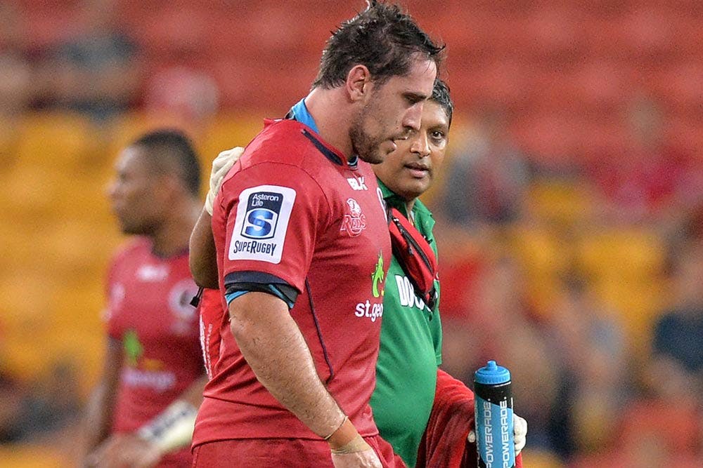Ben Daley is confident of a Super Rugby return. Photo: Getty Images