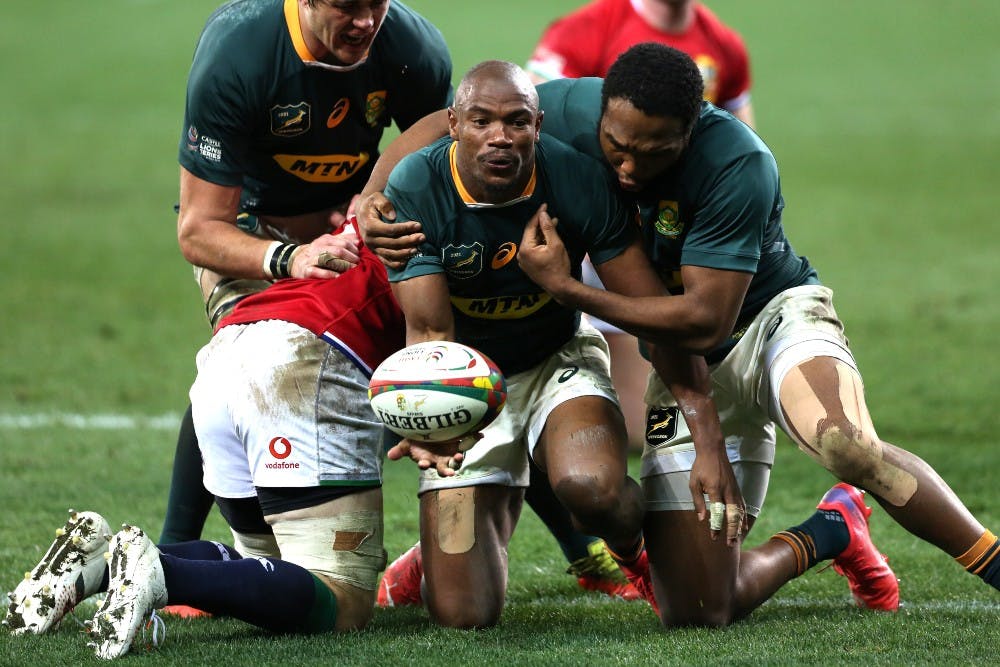 South Africa have cruised to victory over the British and Irish Lions. Photo: Getty Images
