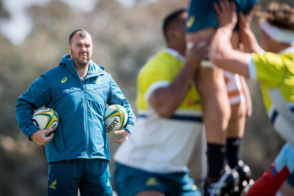 Wallabies coach Michael Cheika is using colts players to simulate tactical shifts. Photo: Getty Images