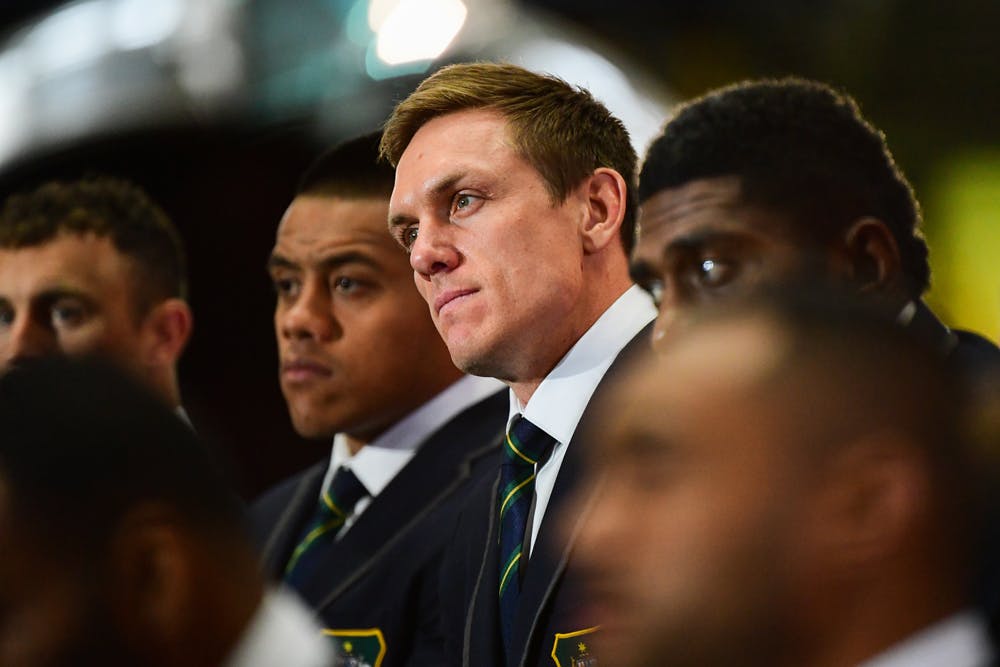 Dane Haylett-Petty feels he has somewhat of a point to prove ahead of the World Cup. Photo: RUGBY.com.au/Stuart Walmsley