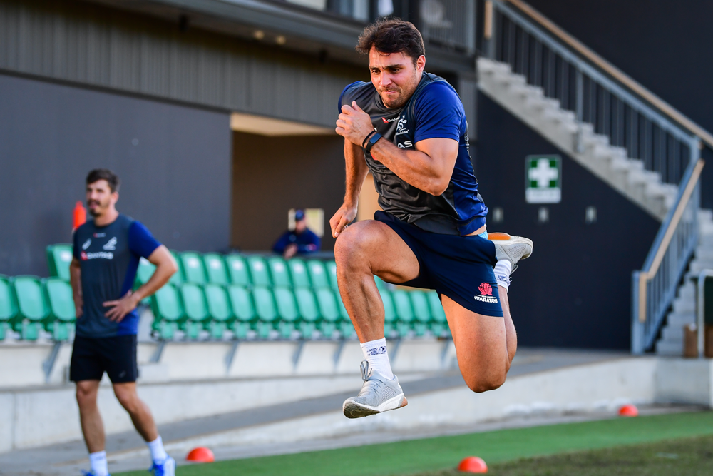 Nick Phipps is working his way back into the Wallabies squad. Photo: RUGBY.com.au/Stuart Walmsley