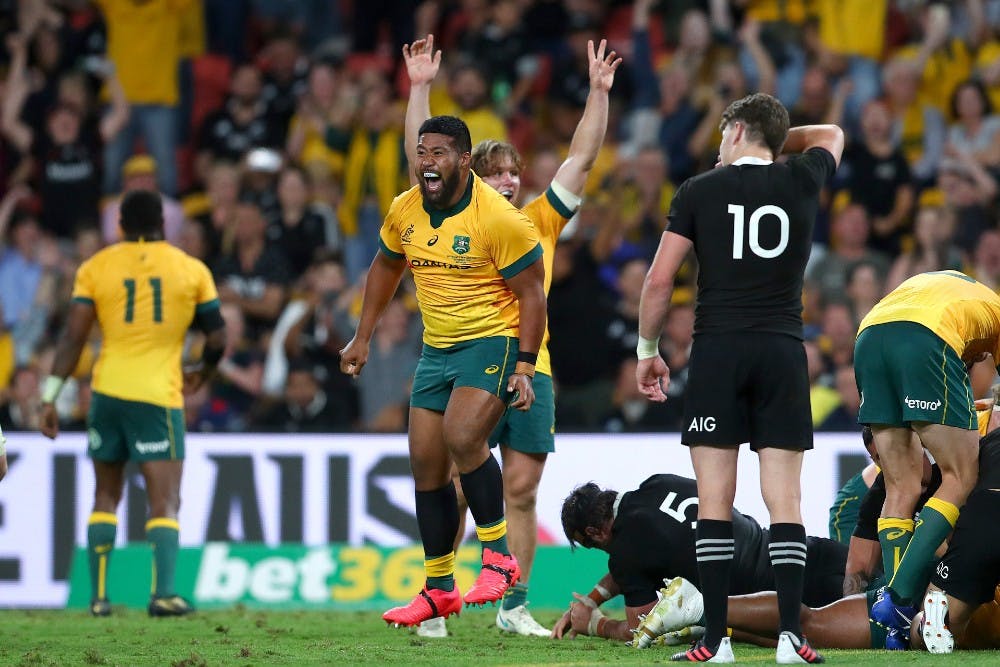 The Wallabies have defeated the All Blacks in Brisbane. Photo: Getty Images