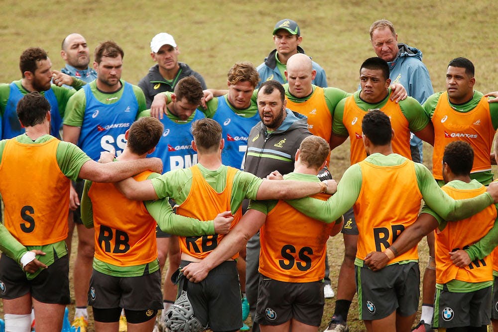 High standards required. Cheika grills Wallabies as coaches watch on. Photo: Getty Images
