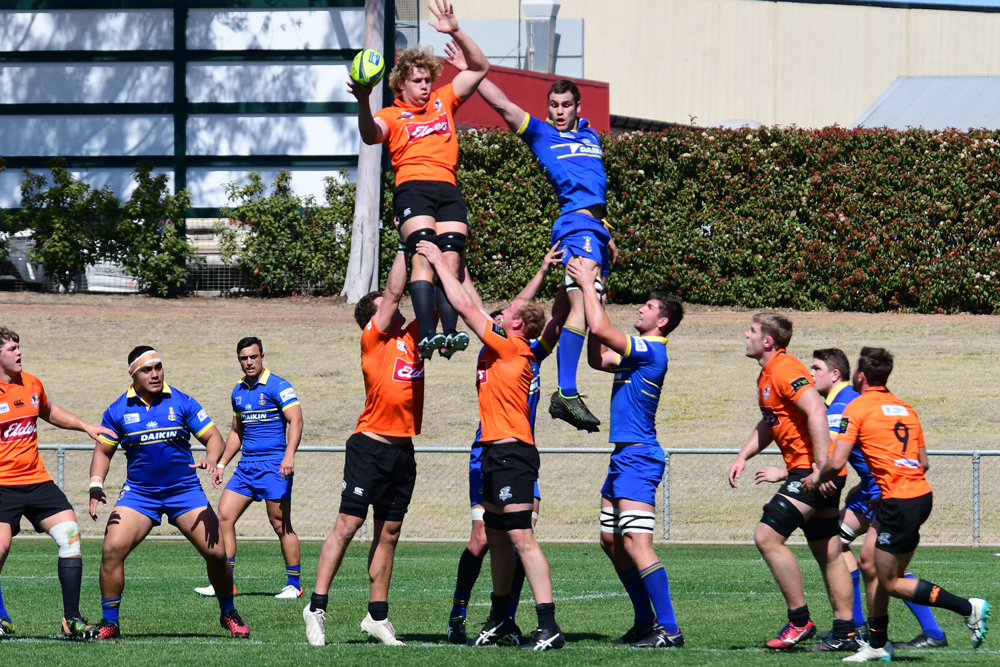 NSW Country took an opening win in Dubbo. Photo: Nicholas Guthrie