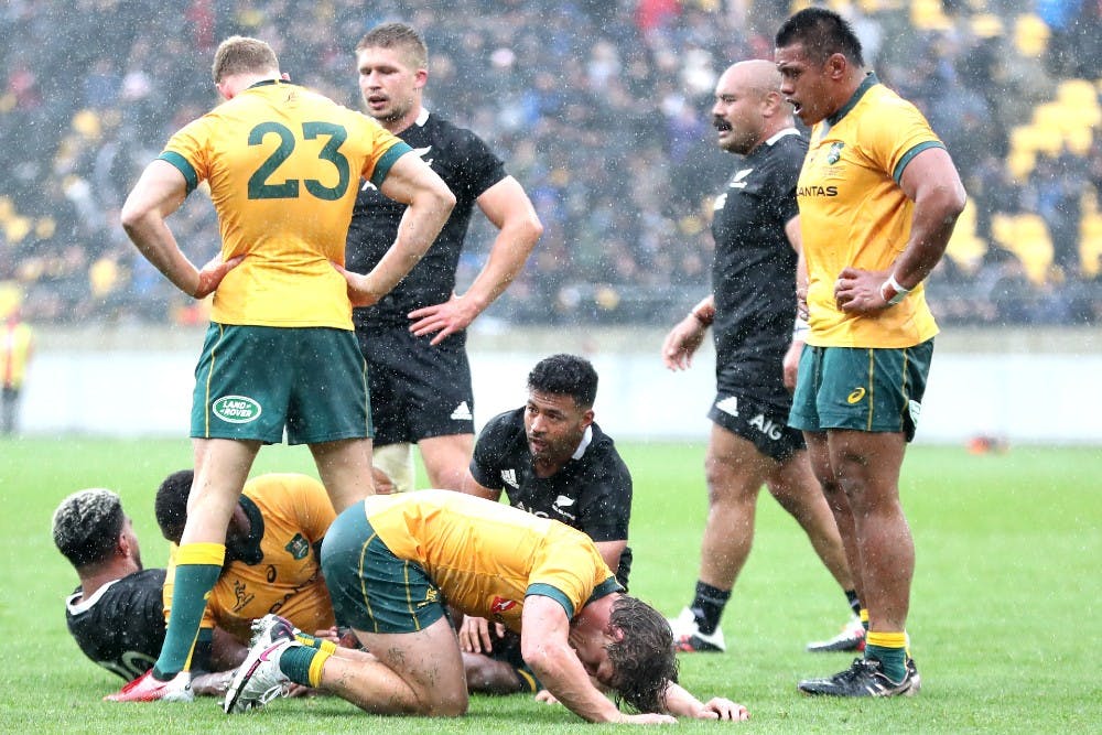 Dave Rennie's first match in charge of the Wallabies has ended in a dramatic draw against the All Blacks. Photo: Getty Images