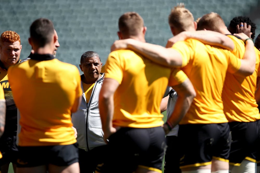 Allister Coetzee has backed his side to respond against the Wallabies. Photo: Getty Images