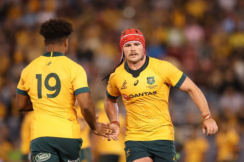 Harry Wilson has shut down talk of joining the Wallabies' leadership team. Photo: Getty Images