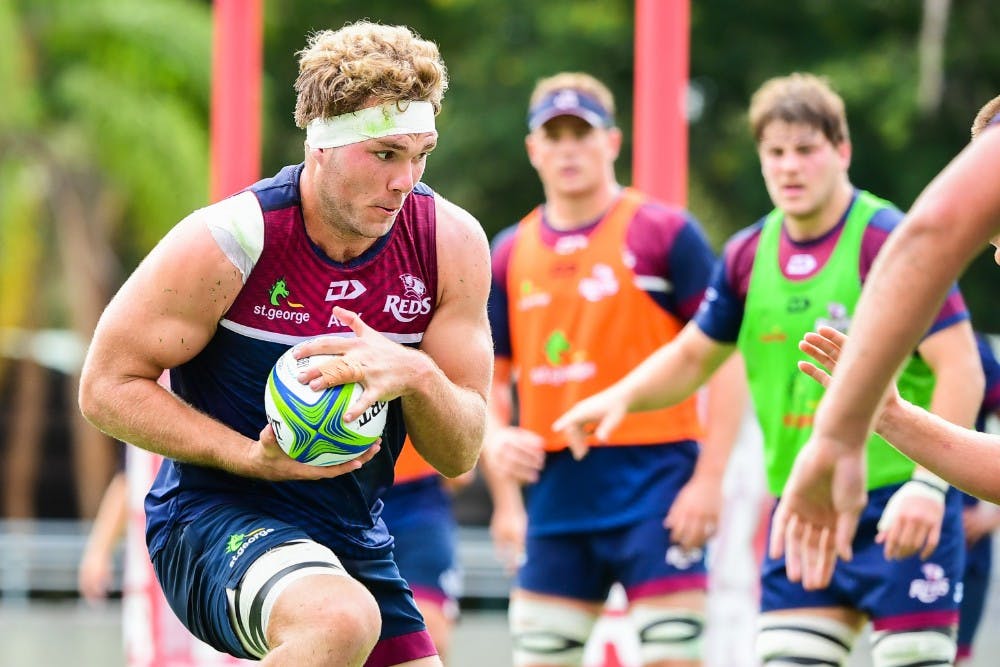 Reds forward Angus Scott-Young has escaped suspension despite being found guilty of striking Brumbies opponent James Slipper. Photo: RUGBY.com.au/Stuart Walmsley 