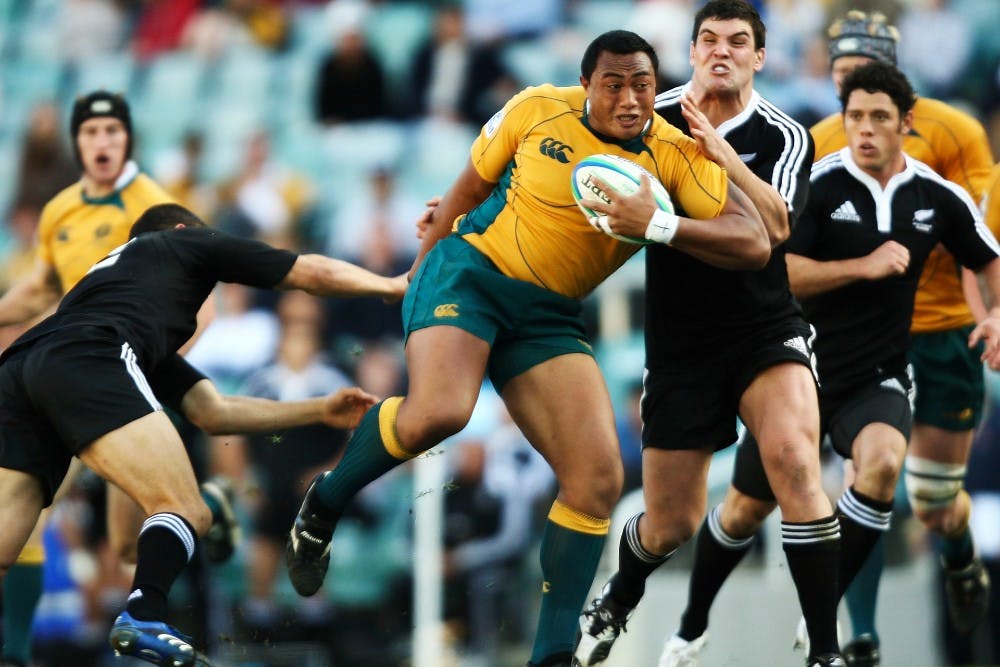 Australia A could play their first match since 2008 to allow Argentina to have a warm-up match. Photo: Getty Images